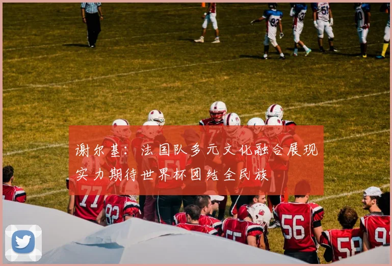 谢尔基：法国队多元文化融合展现实力期待世界杯团结全民族