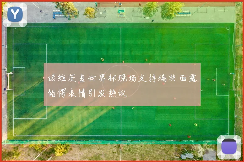 诺维茨基世界杯现场支持瑞典面露错愕表情引发热议
